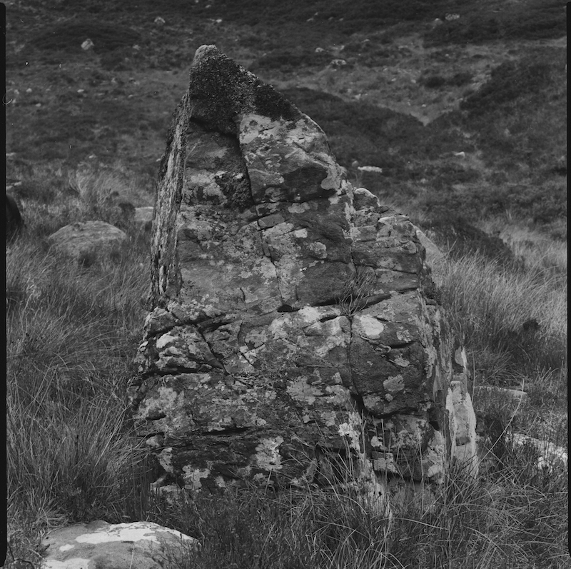 Rocks and Weeds, Jessica Potter